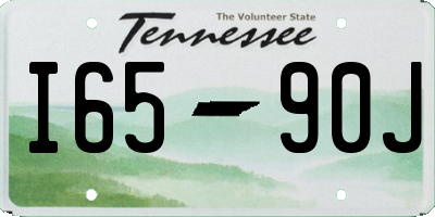 TN license plate I6590J