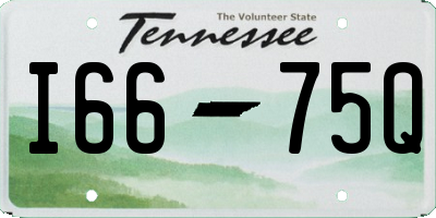 TN license plate I6675Q