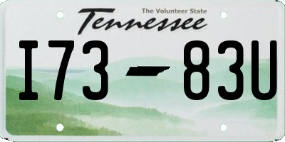TN license plate I7383U