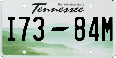 TN license plate I7384M