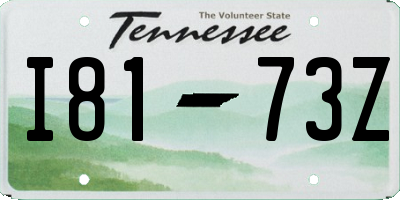 TN license plate I8173Z