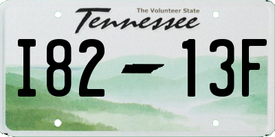 TN license plate I8213F