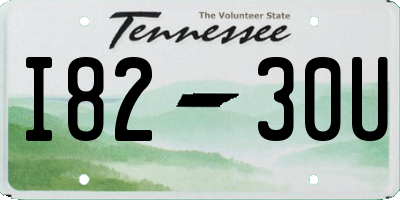 TN license plate I8230U