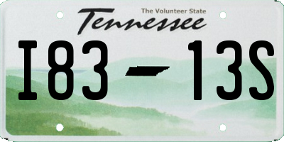 TN license plate I8313S