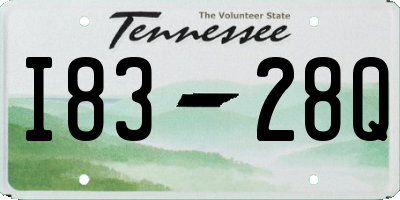 TN license plate I8328Q