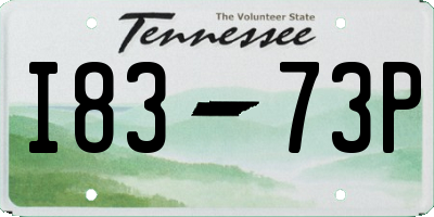 TN license plate I8373P