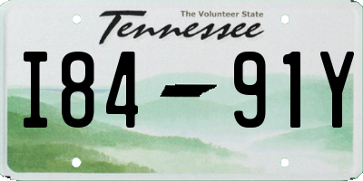 TN license plate I8491Y