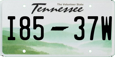 TN license plate I8537W
