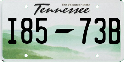 TN license plate I8573B