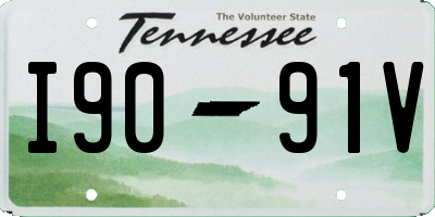 TN license plate I9091V