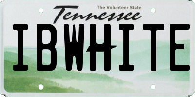 TN license plate IBWHITE