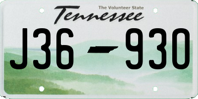 TN license plate J3693O