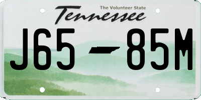 TN license plate J6585M