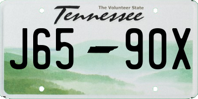TN license plate J6590X