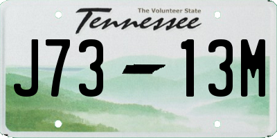 TN license plate J7313M