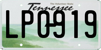 TN license plate LP0919