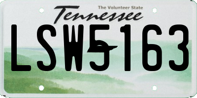 TN license plate LSW5163