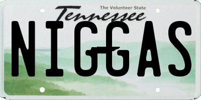 TN license plate NIGGAS