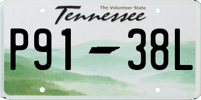 TN license plate P9138L