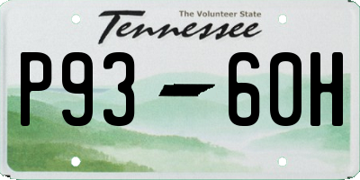 TN license plate P9360H