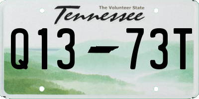 TN license plate Q1373T