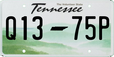 TN license plate Q1375P