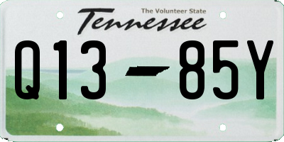 TN license plate Q1385Y