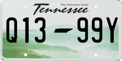 TN license plate Q1399Y