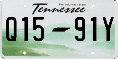 TN license plate Q1591Y