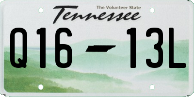 TN license plate Q1613L