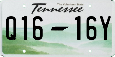 TN license plate Q1616Y