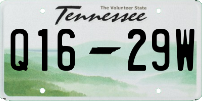 TN license plate Q1629W