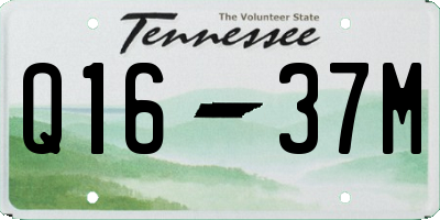 TN license plate Q1637M
