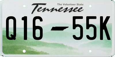 TN license plate Q1655K