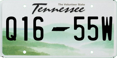 TN license plate Q1655W