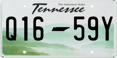 TN license plate Q1659Y