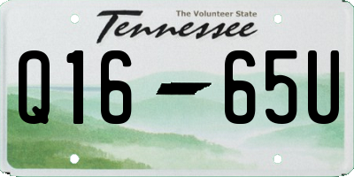 TN license plate Q1665U
