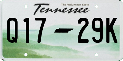 TN license plate Q1729K