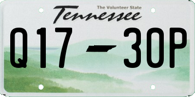 TN license plate Q1730P