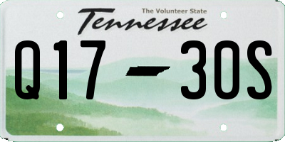 TN license plate Q1730S
