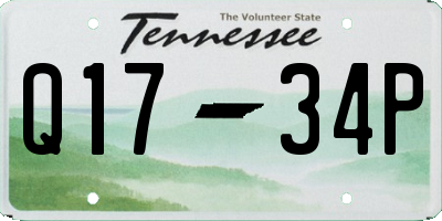 TN license plate Q1734P