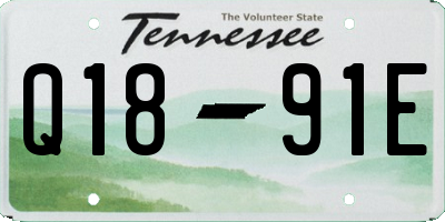 TN license plate Q1891E