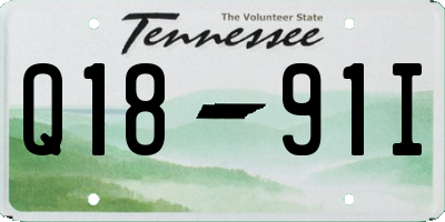 TN license plate Q1891I