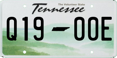 TN license plate Q1900E