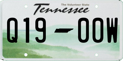 TN license plate Q1900W