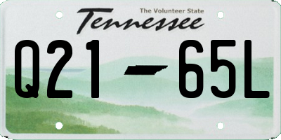 TN license plate Q2165L