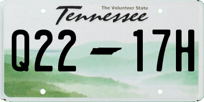 TN license plate Q2217H