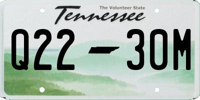 TN license plate Q2230M