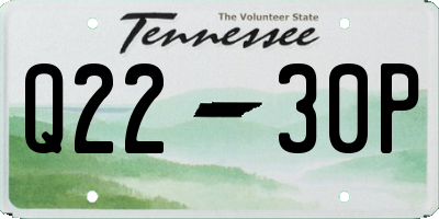 TN license plate Q2230P