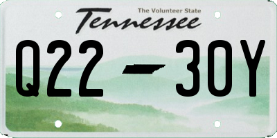 TN license plate Q2230Y